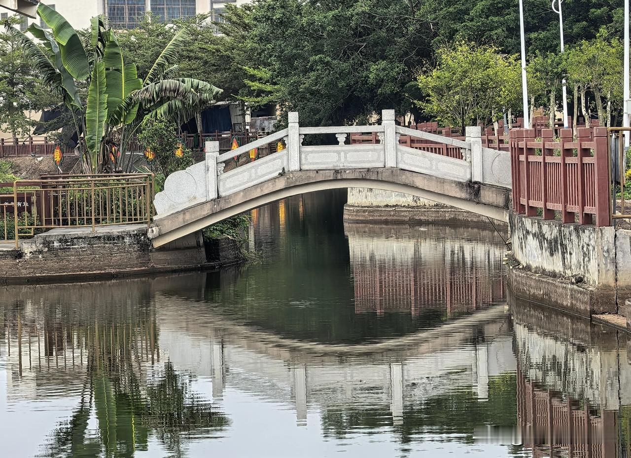升级鸿蒙6后，我意外成了女同事们的专属摄影师。
前段时间花了一个月工资入手了一部