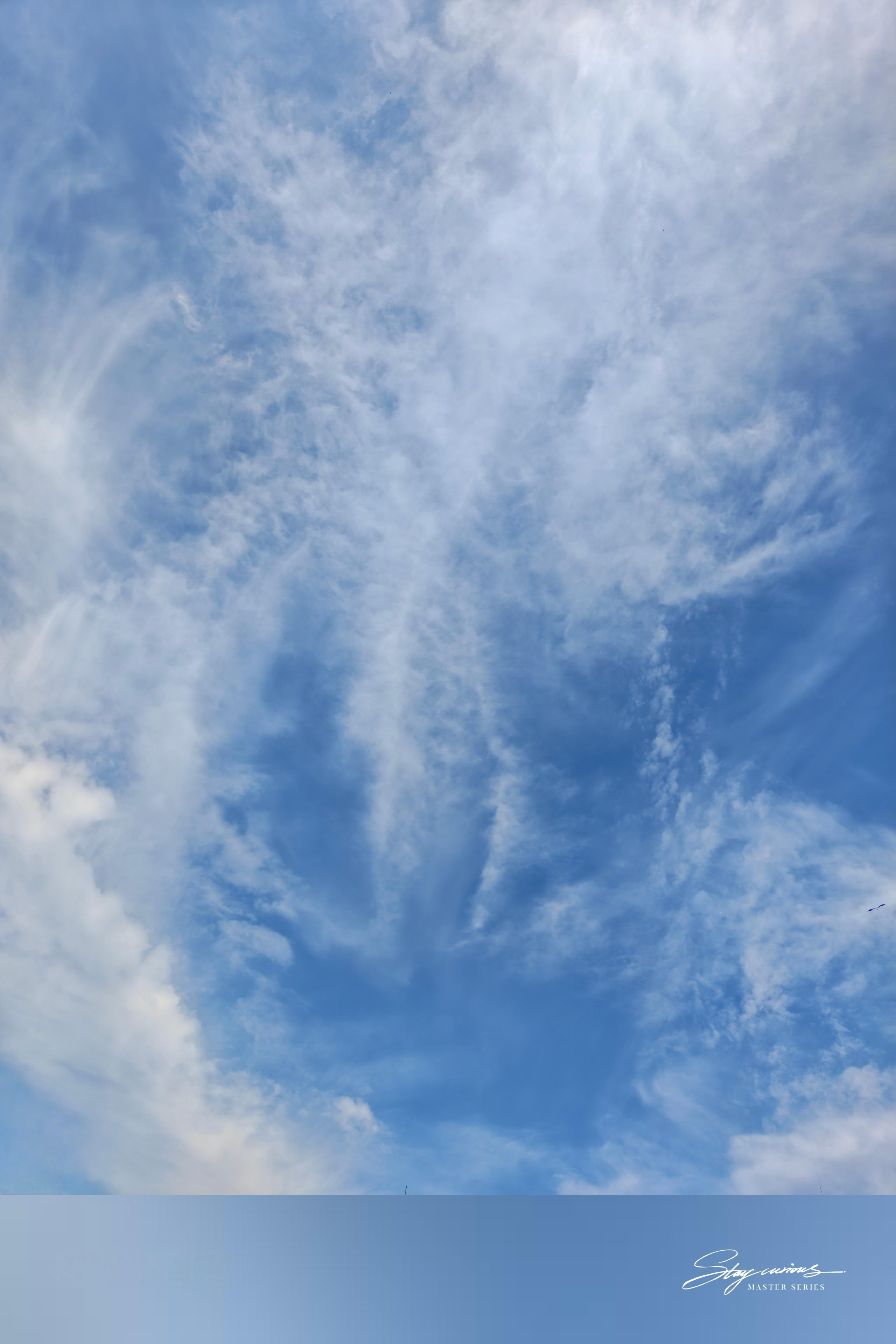 躺在树荫下狠狠睡觉，谁懂啊？就是有点担心草地里窜出一只虫把我吃了