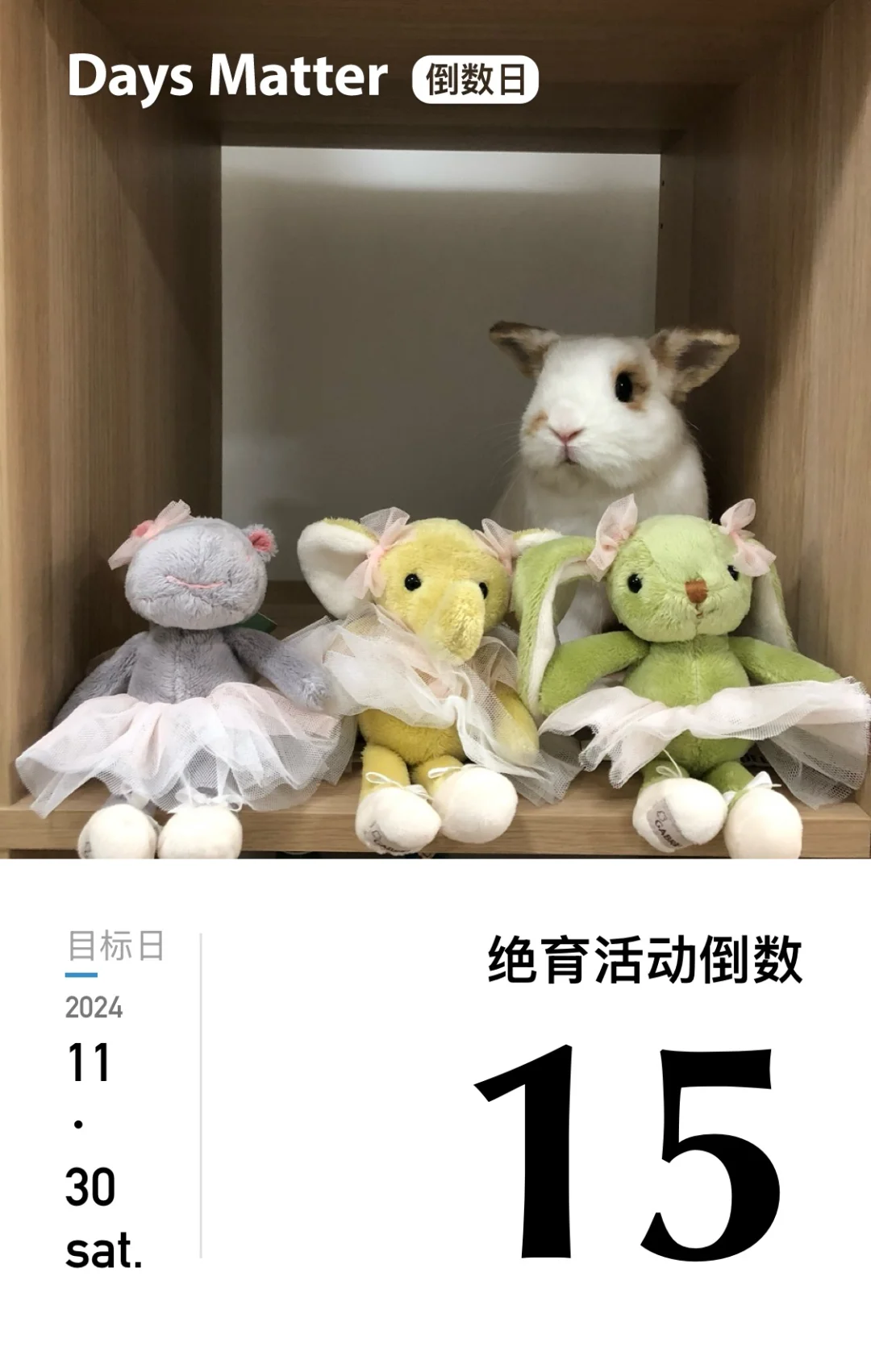 不是吧这么便宜
