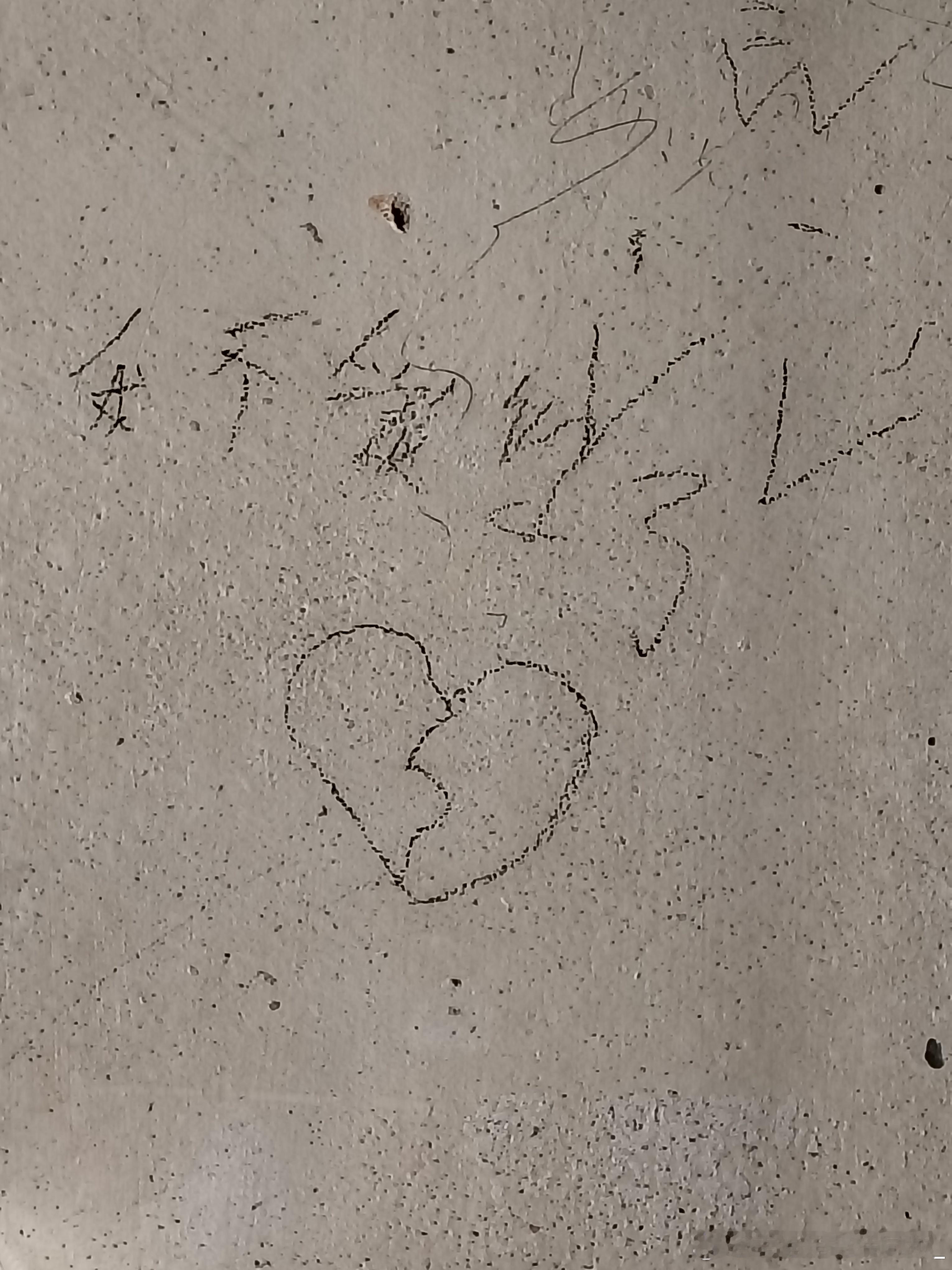 在宿舍墙上看到的 ​​​