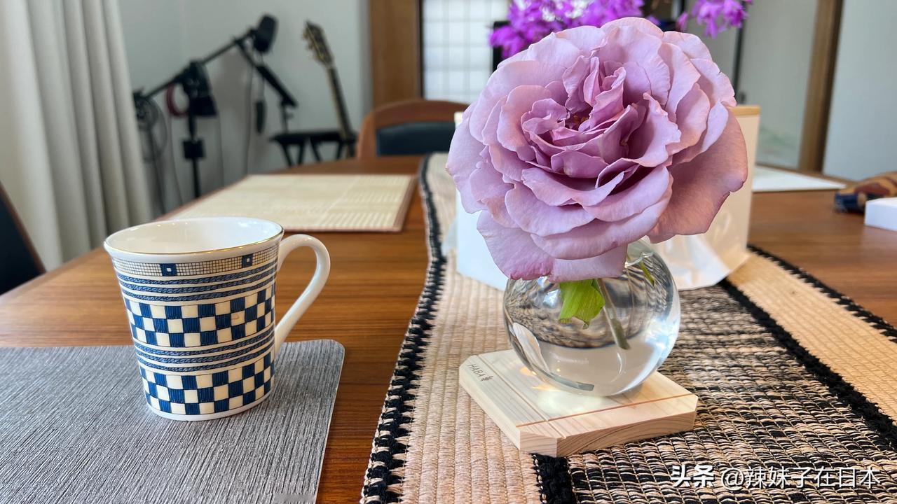 小院终于要动工了[大笑]赶紧把这些花花草草，收割进家里。
白芨是真的又好养又好看