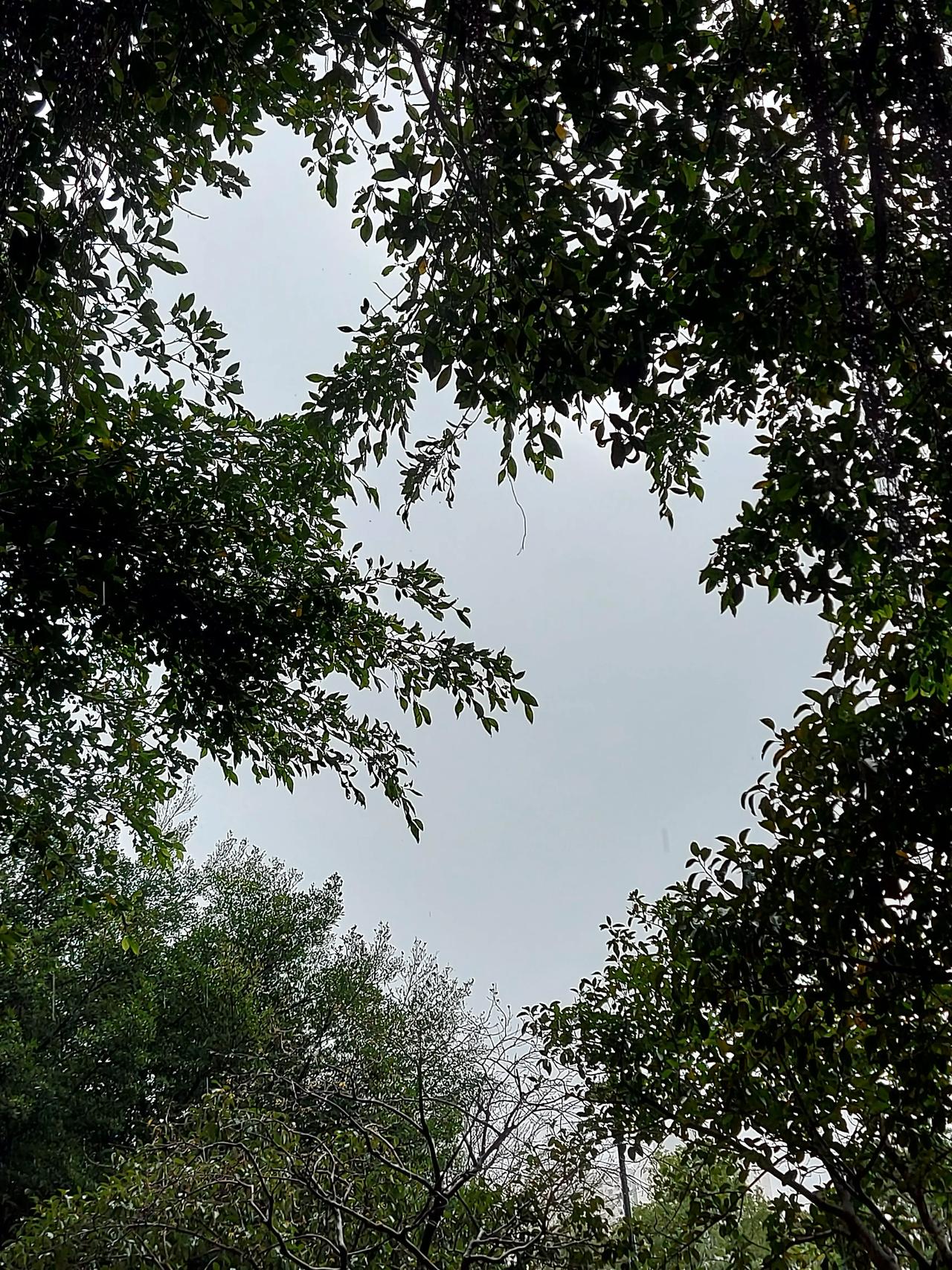 惊雷阵阵，咔嚓咔嚓轰隆隆。
迎面雨来，管他随势倾斜。
我自两袖清风。
无语当下，