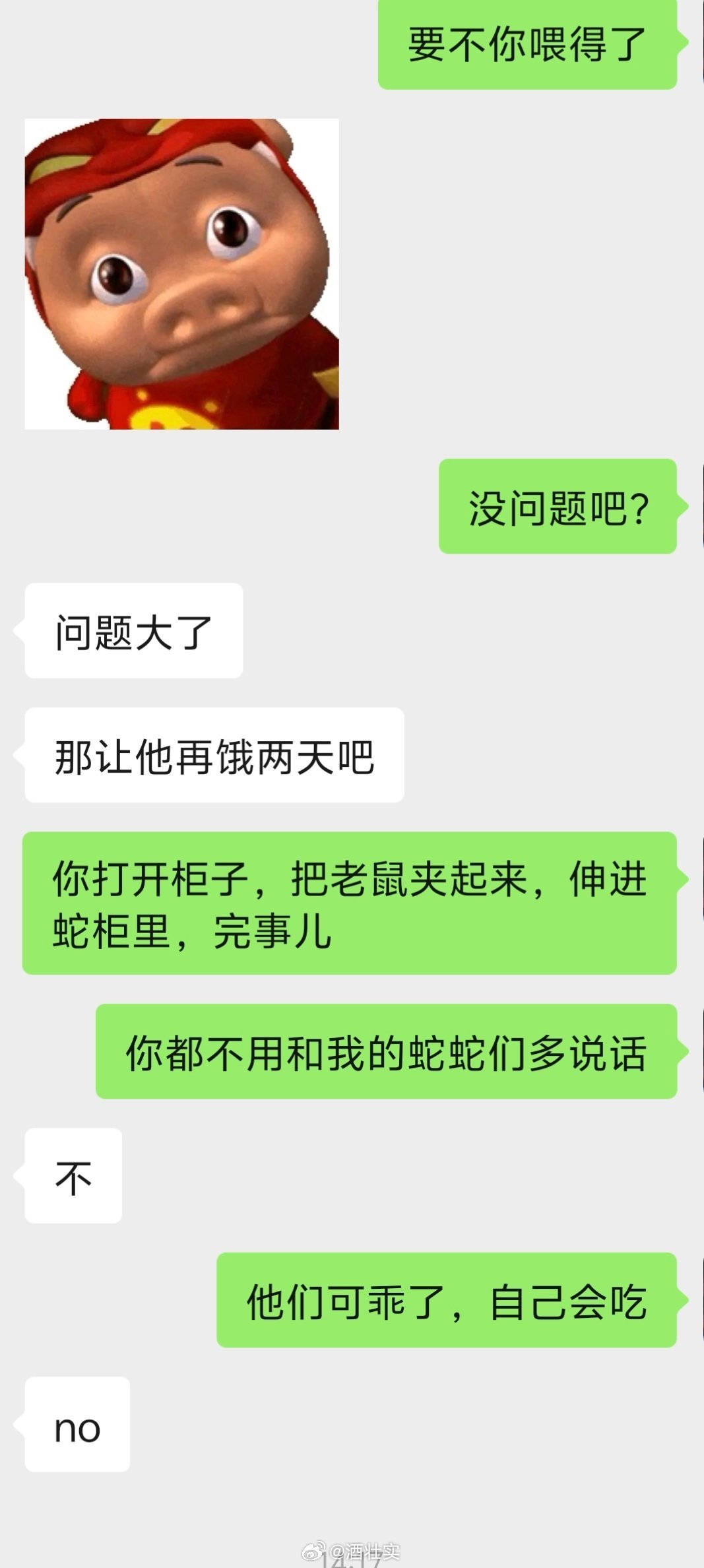 养蛇一大问题之，我不在家，蛇就得饿肚子