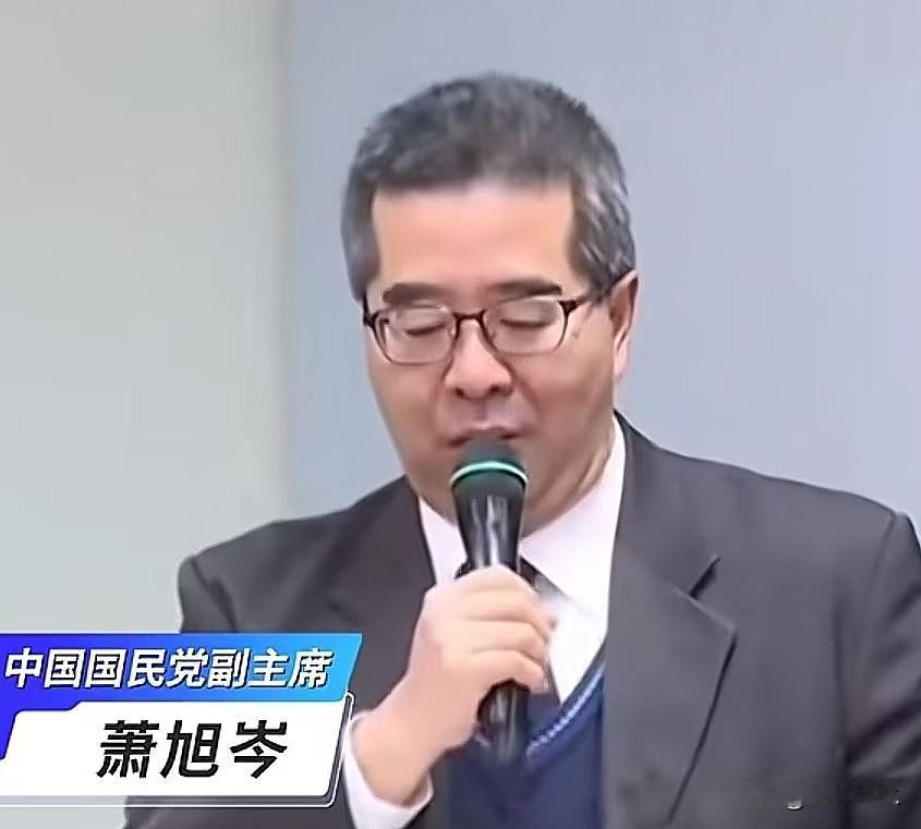 22025年11月，国民党副主席萧旭岑表示国民党不接受“一国两制”，坚持在中华民