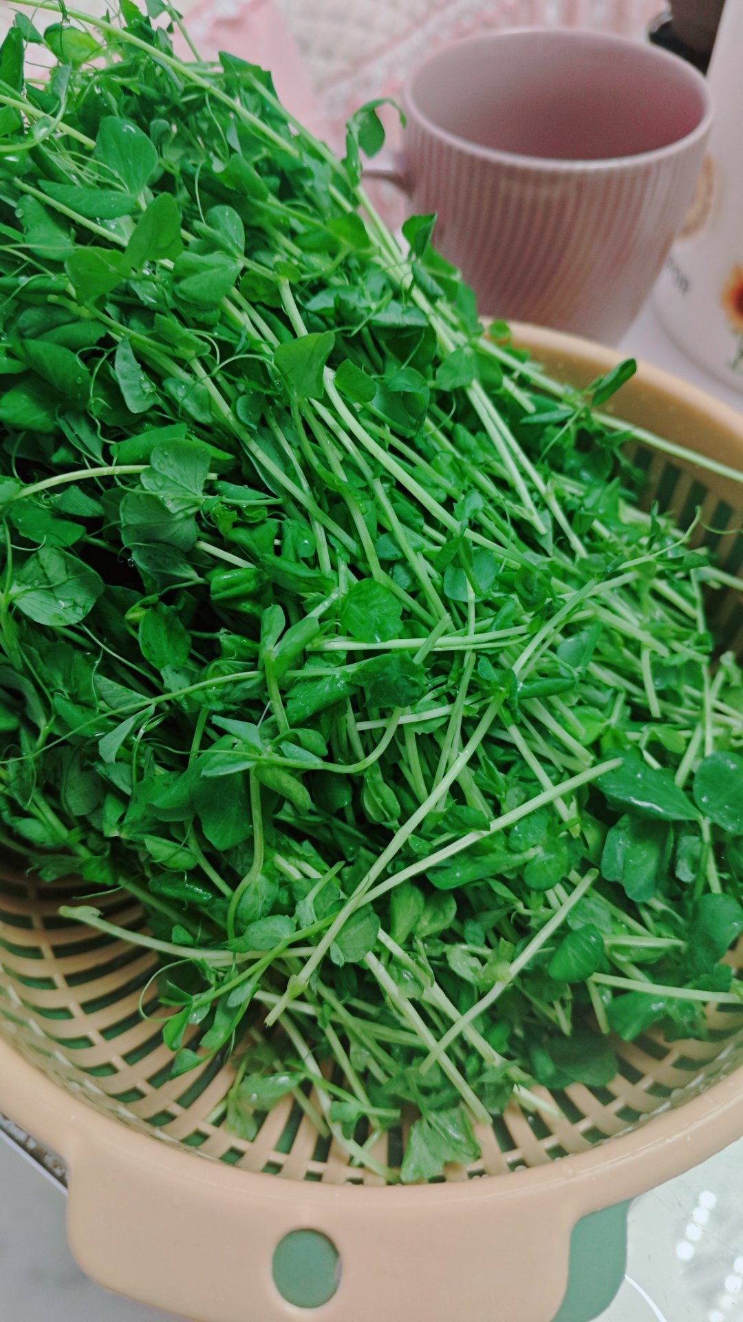 自己水培的豌豆苗，自己手切的雪花牛肉，和《天地剑心》很配吧。[嘻嘻]正在看万剑穿