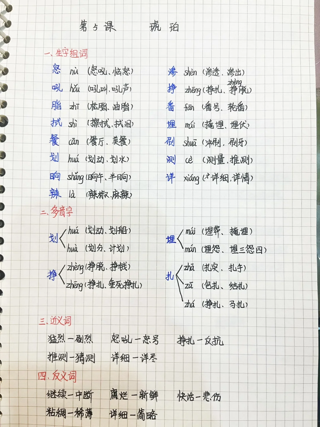 四下🍀5课《琥珀》笔记-2