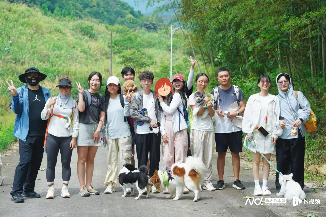 观察｜“汪汪队”出发！这届年轻人带“毛孩子”出游有多野？