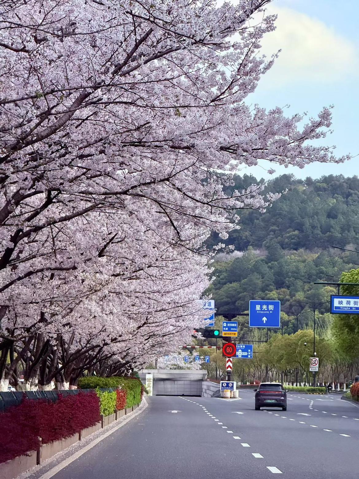 我的今日状态：😁轻松愉快
我这里的天气：☀️晴天