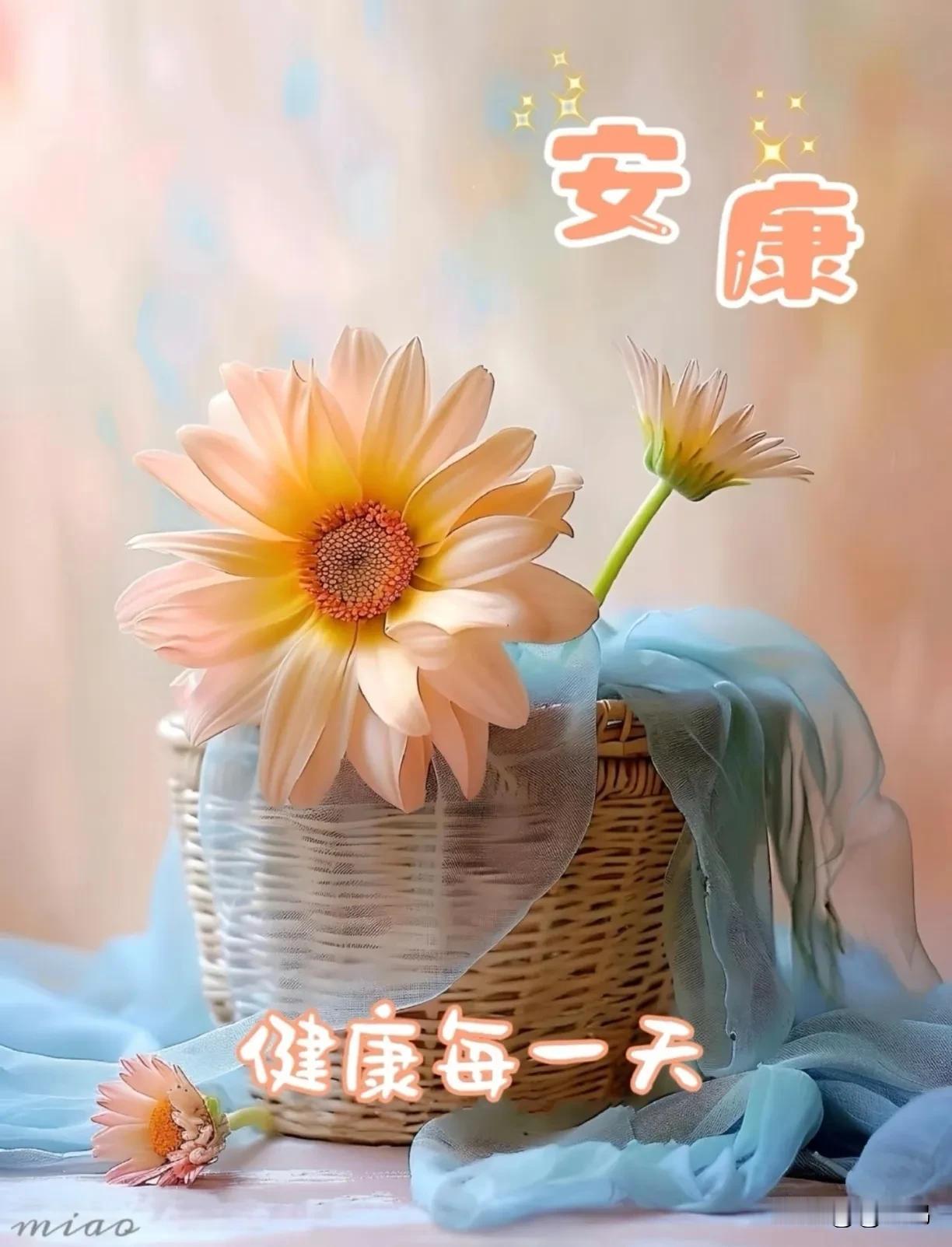 健康比什么都重要，没了它什么都干不成。世事无常，计划永远赶不上变化，所以要珍惜当