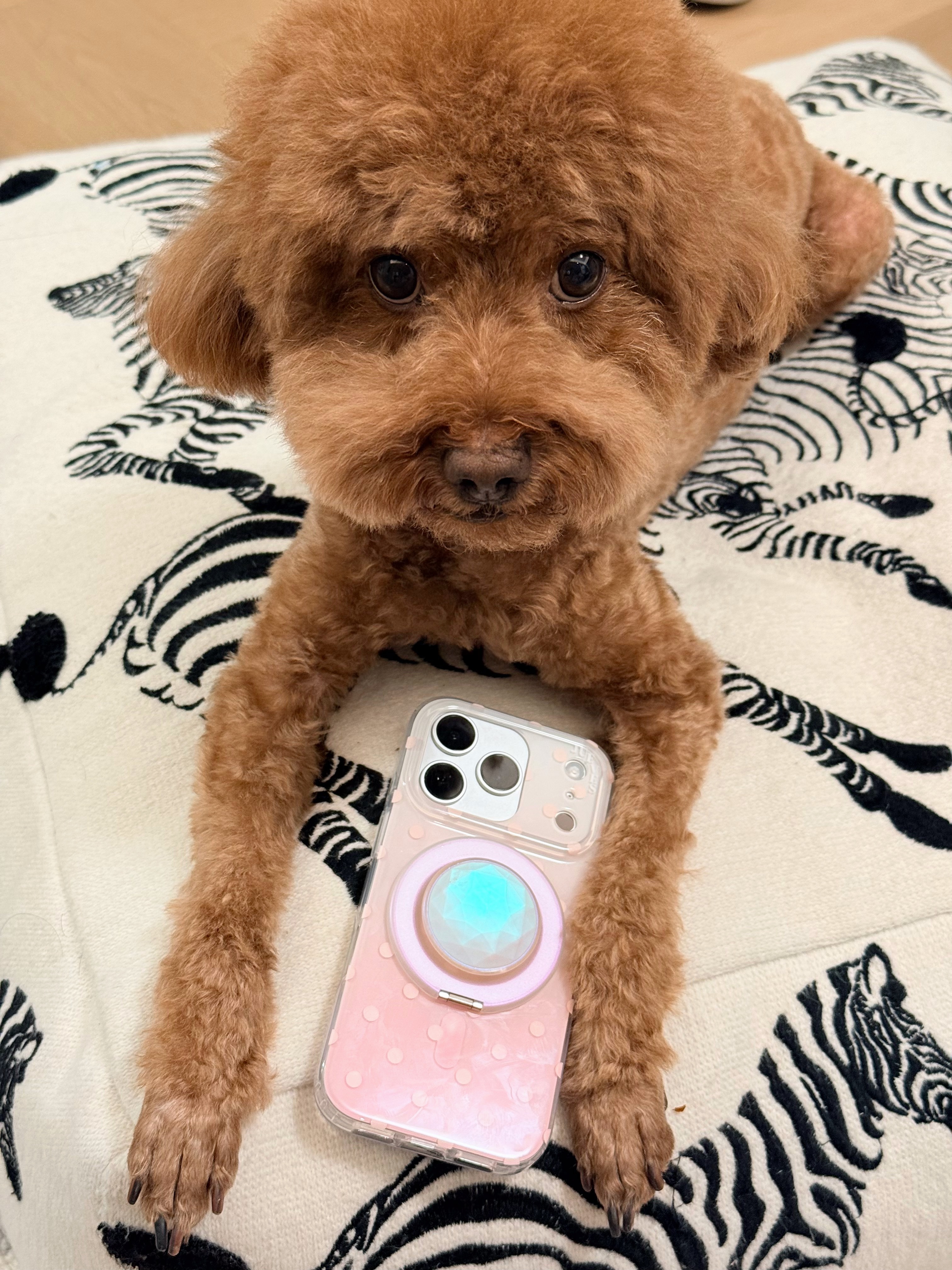 好看🤩 