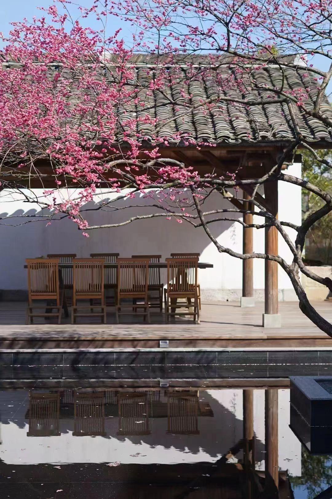 理想的生活方式，就像天边的彩虹，看着美，却难以触碰。有人觉得自由自在、无压力，有