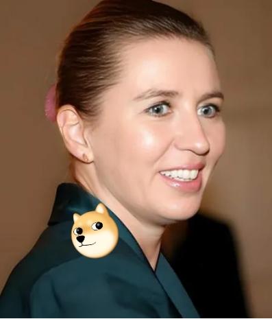 丹麦的两个国际笑话：一、丹麦女首相为了讨好美国，像疯狗一样咬中国，结果美国现在要