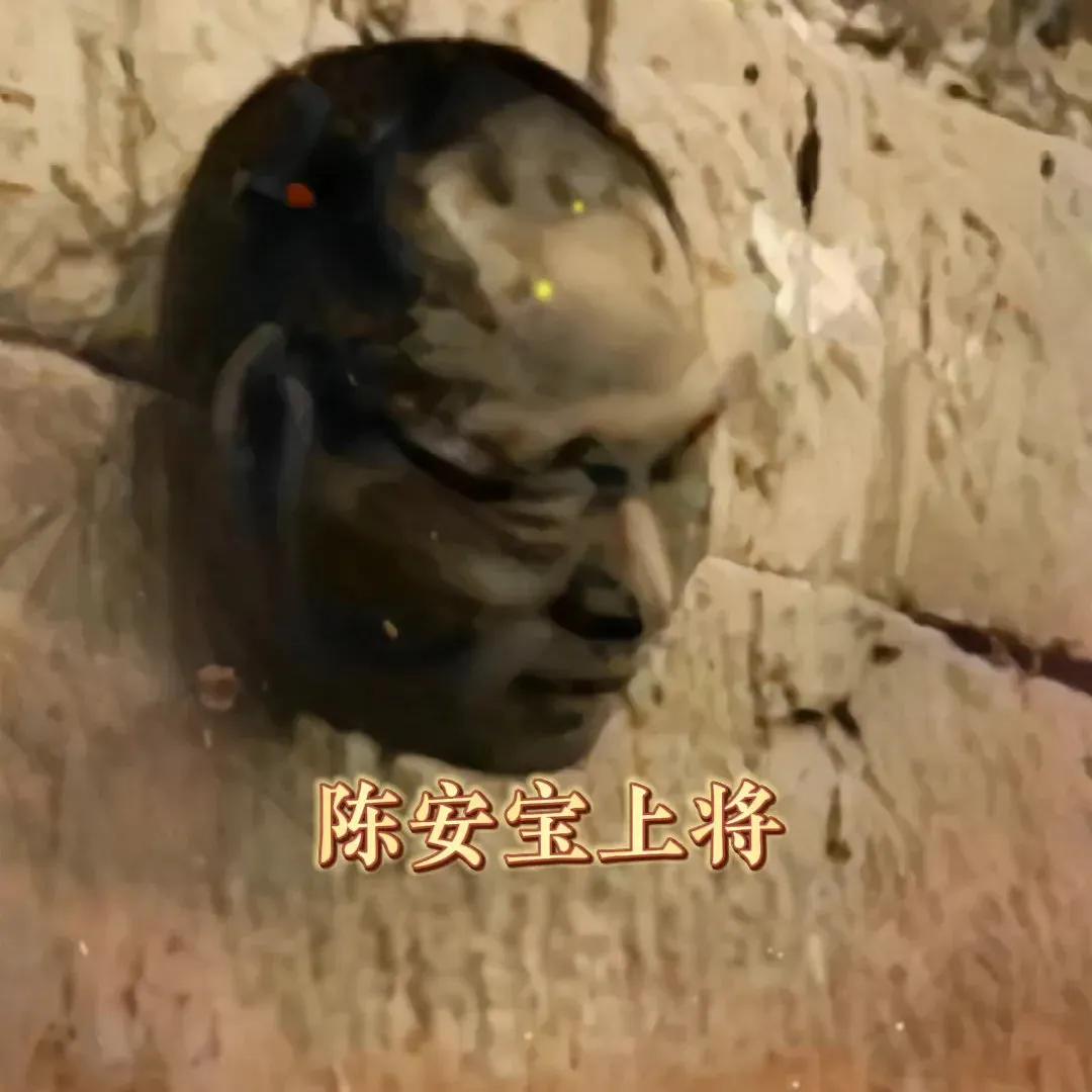 日军将其头颅割下，挂于南昌城头三天三夜。

陈安宝，浙江黄岩人，国民革命军第29