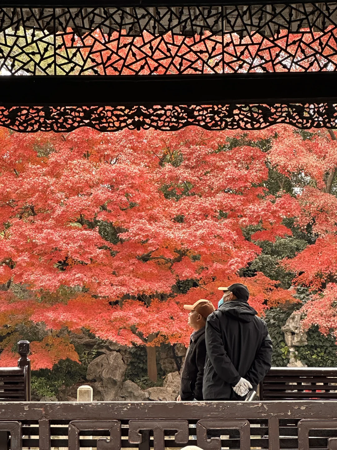 你p我也p，扬州何园🍁枫叶红啦！