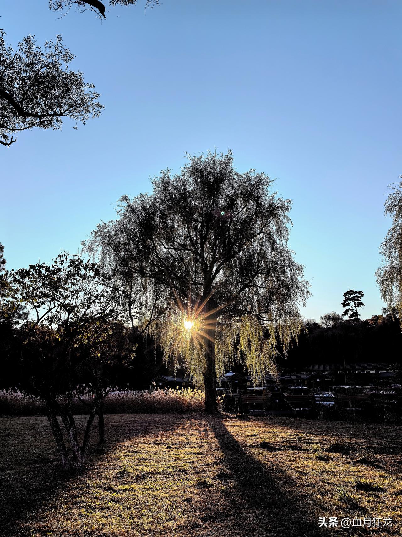 今天相信大家都清楚了，最离谱的事情就是小鹰航母在南海连掉两架飞机！而小鹰表示还在