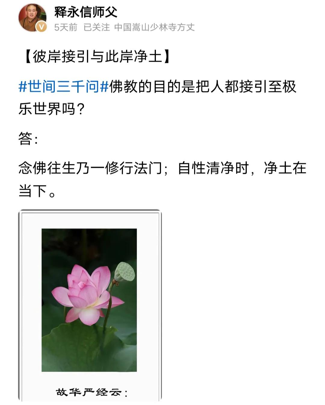 净土哪里还有呢？
你思考一下吧。

现在很多原本被认为是净土的地方，都充满了功利