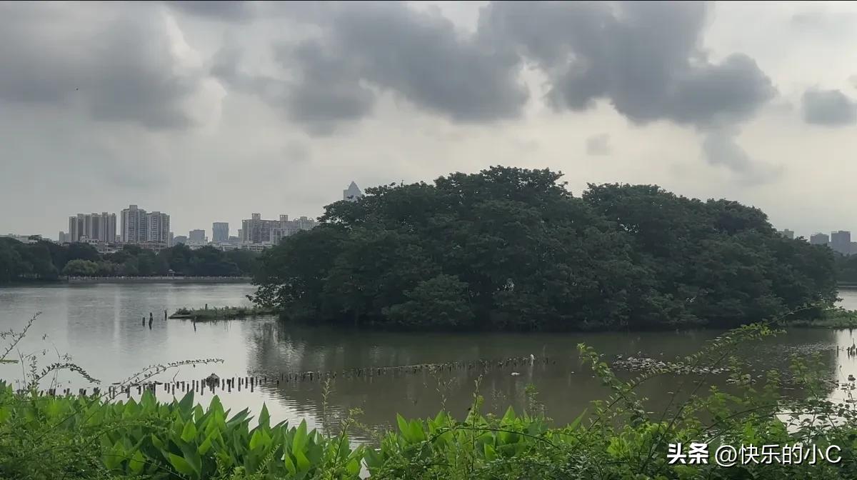 人生低潮的时候，最怕的就是使劲折腾自己。

其实不用急着“逆风翻盘”，也不用逼自