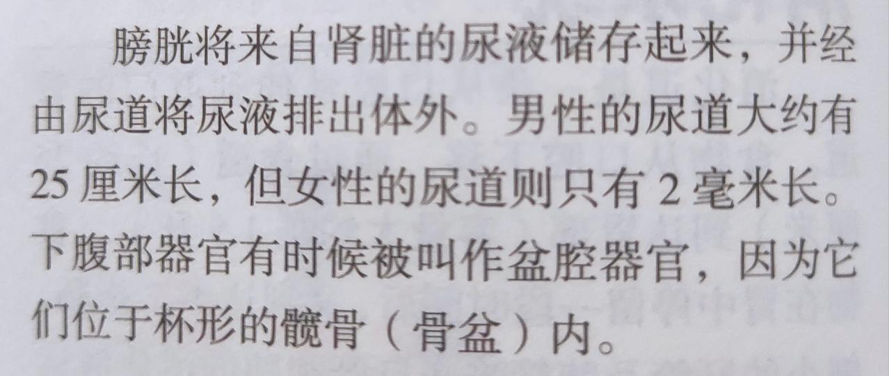 终于知道为什么在做手术的时候，男的插入导尿管比女的困难，而且男的会非常疼！
从图
