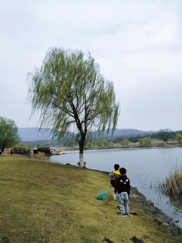 广州小学春游被曝“天价收费”？！低价甚至免费的景区门票，春游涨价近20倍！家长纷