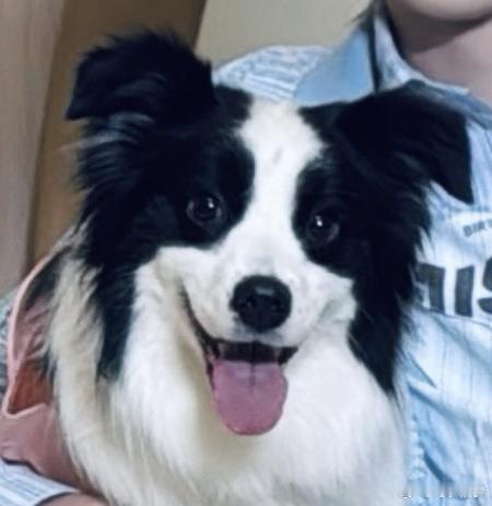 总算有正脸了，我十年没见过我主人正脸的写真了 