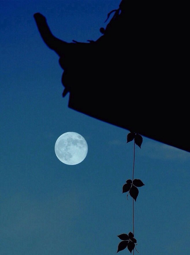 人生不过是午后到黄昏的距离，茶凉言尽，月上柳梢。——  徐志摩 ​​​