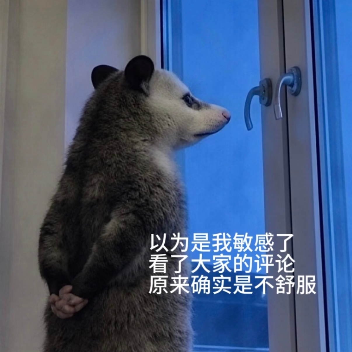 王鹤棣不舒服文学已升级好了好了，这下坏了…“不舒服学”得以赛博永生了！ 