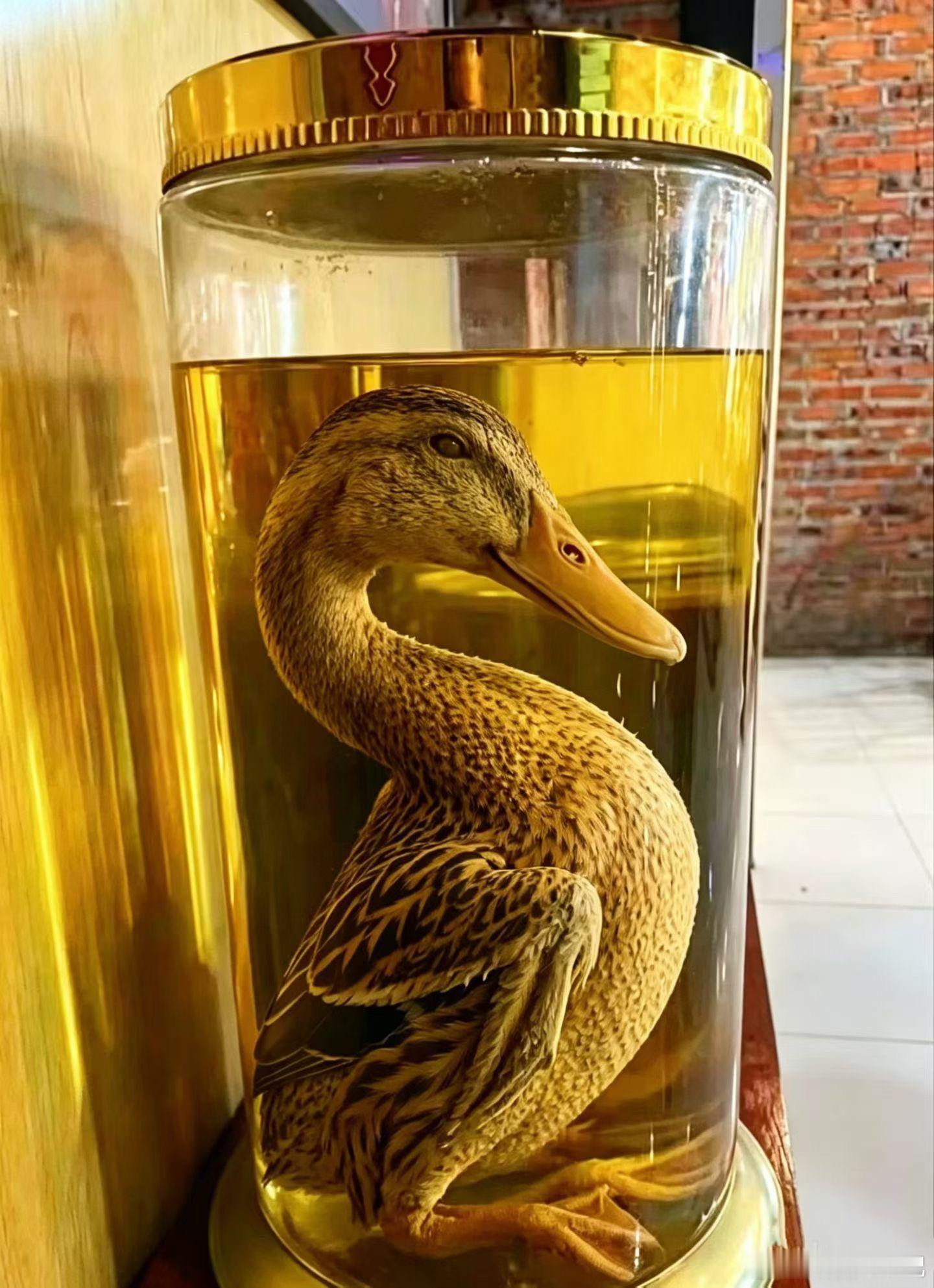 这是什么酒？ ​​​