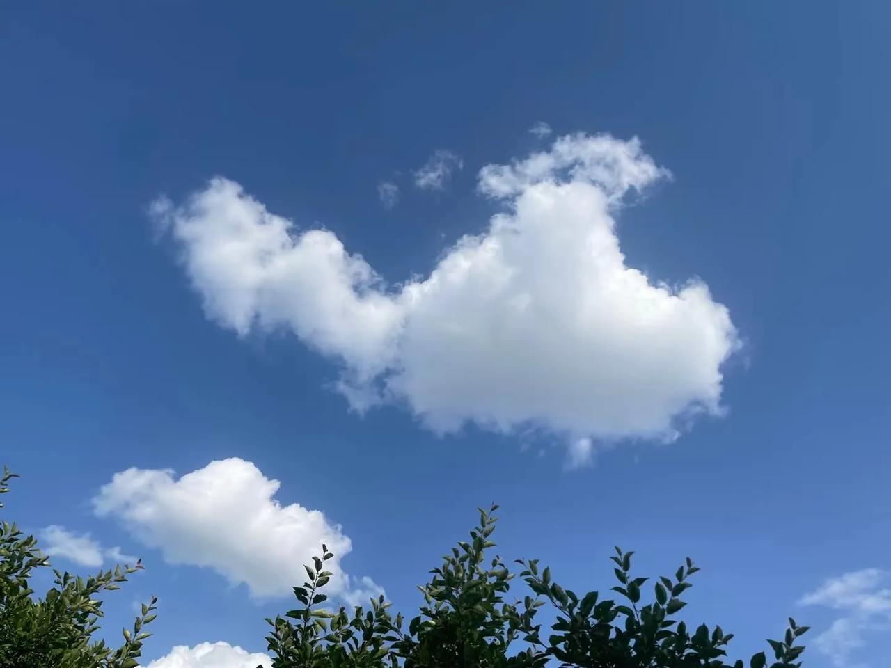 初夏的早晨

入夏天气多变化，少雨多风多尘沙
清晨空气还算好，微风凉凉外衣加
渐
