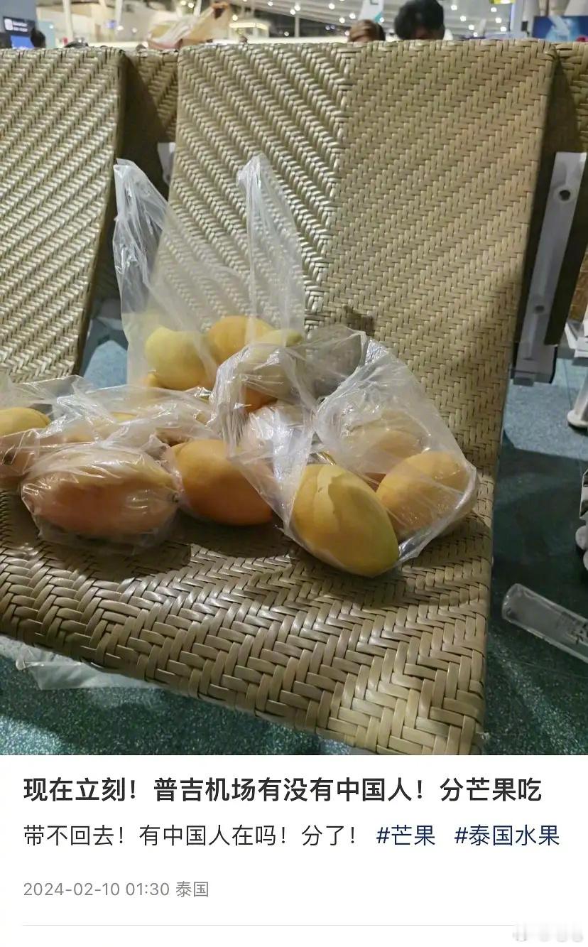 有在机场分芒果的，有在机场干一壶水的[doge]哈哈哈哈哈哈#龙年造梗大赛##本