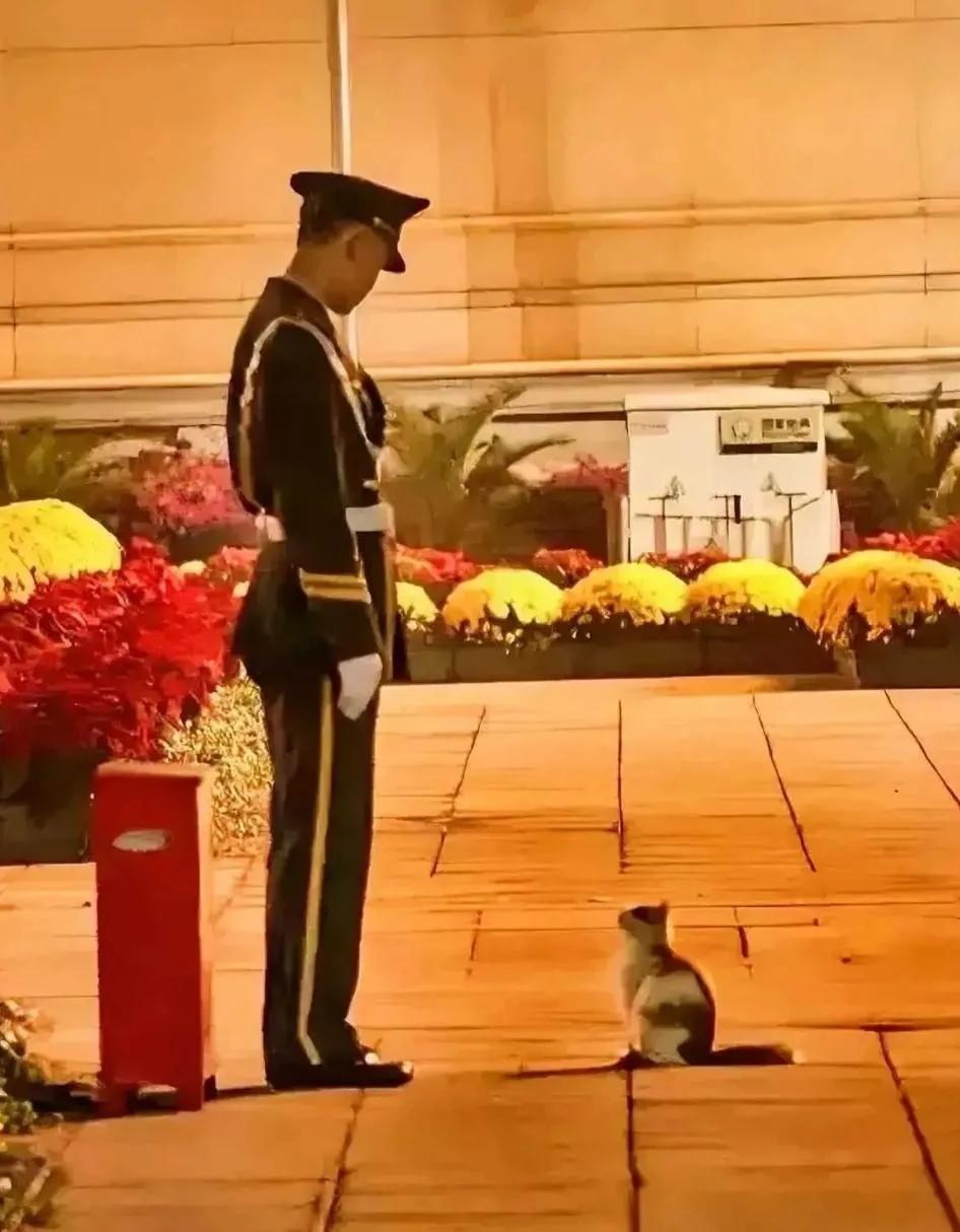 你有没有被这一幕暖心到？
#令人温暖的画面# 
#身边最美瞬间# 
