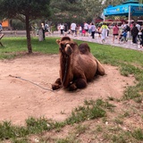 婕彤热谈娱乐