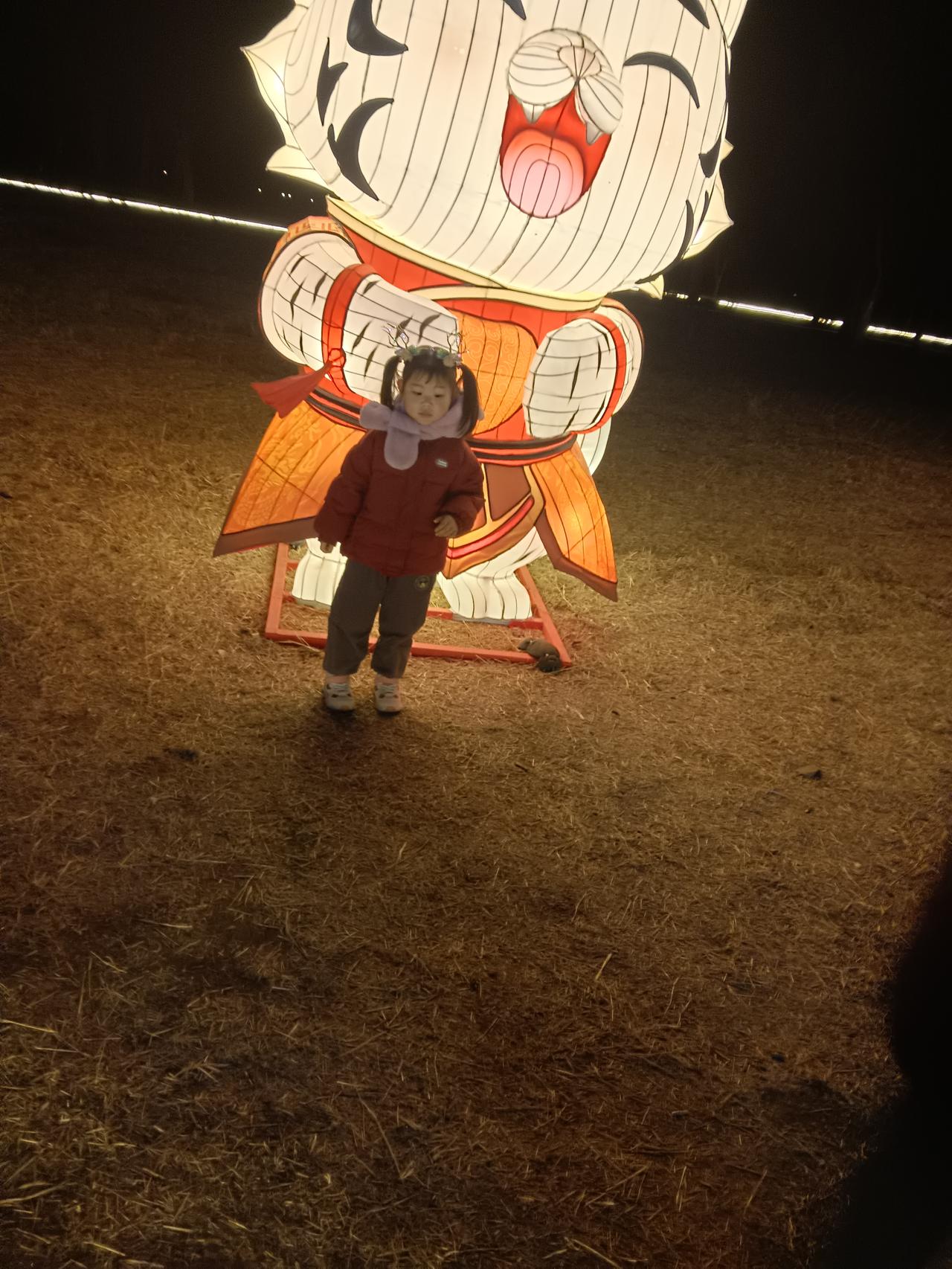 新年爱好打卡大年初一，带着孙女看花灯。