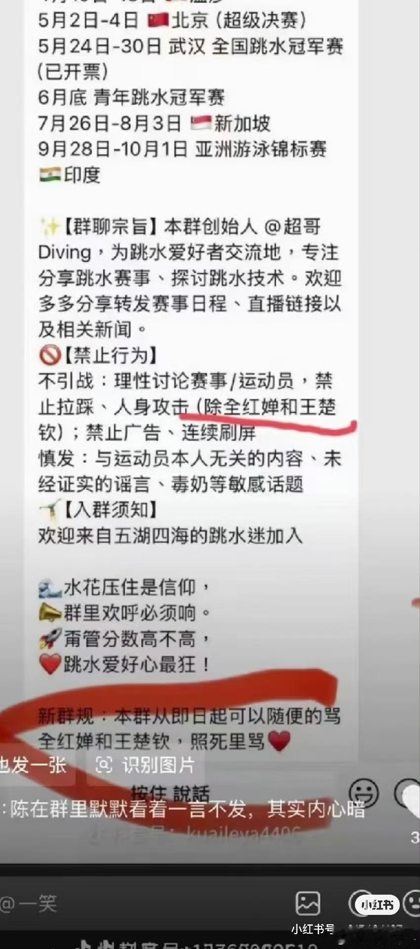 真没想到，全红婵被网暴这事居然还波及到王楚钦，太过分了。

从网上曝光的群聊截图