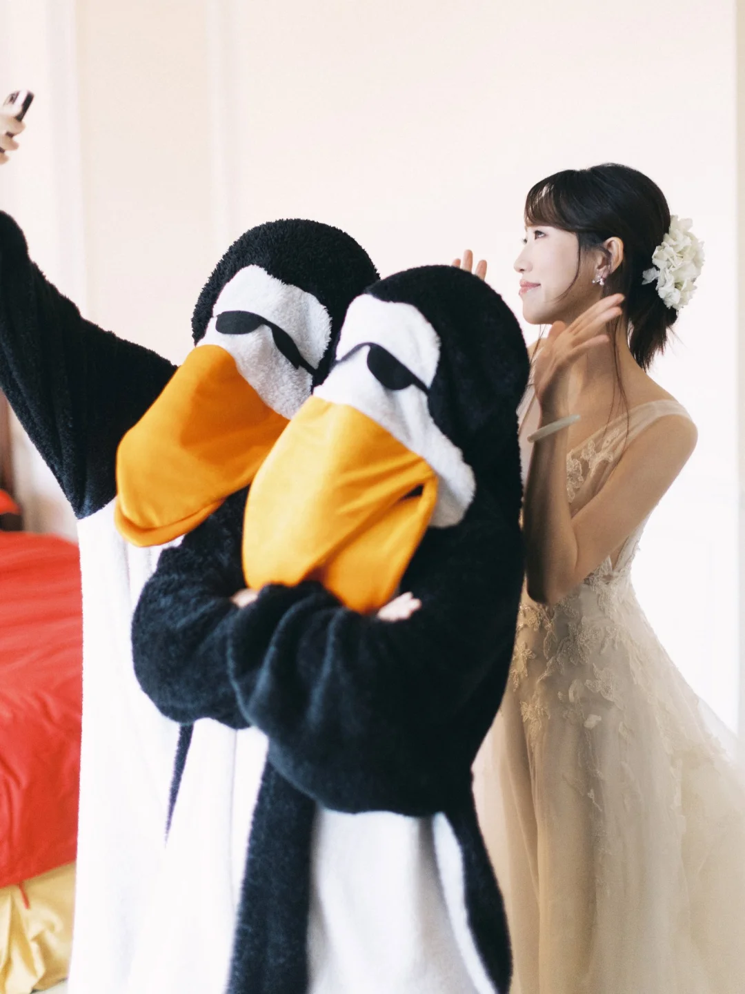 当婚礼出现高雅企鹅