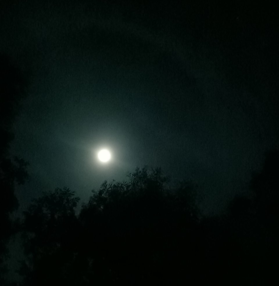凌晨两点的月亮🌙 