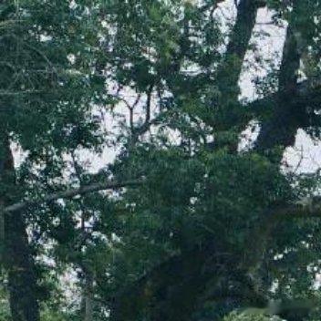 人生有得必有所放弃，放弃是为了更好的获得。有些是必须要放弃，然而有些不但不能放弃