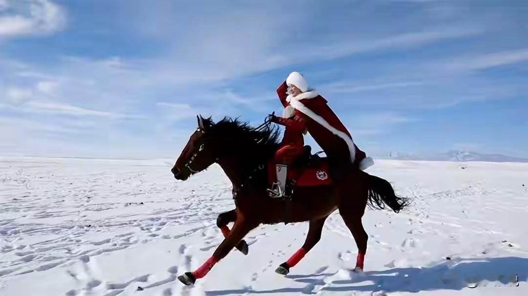英姿飒爽，巾帼不让须眉，女侠
这是我第一次看这张照片的印象
新年第一个不好的消息