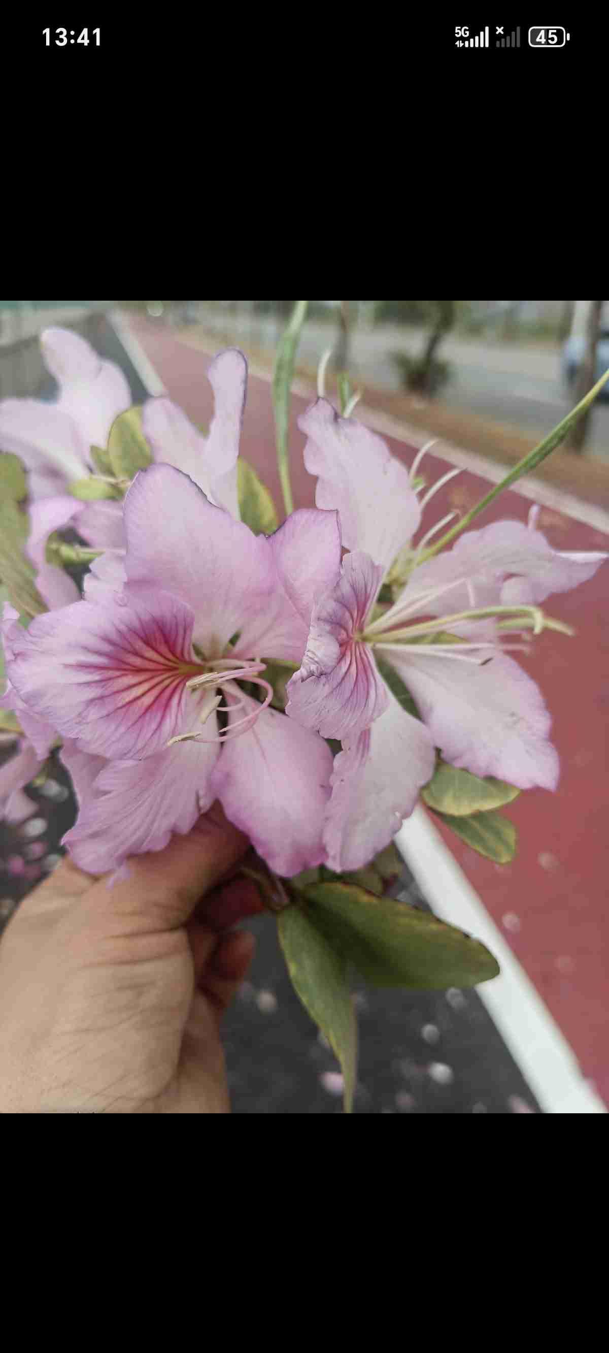 我的今日状态：💰期待暴富
我这里的天气：🌈雨过天晴
外面的世界：花很漂亮
现