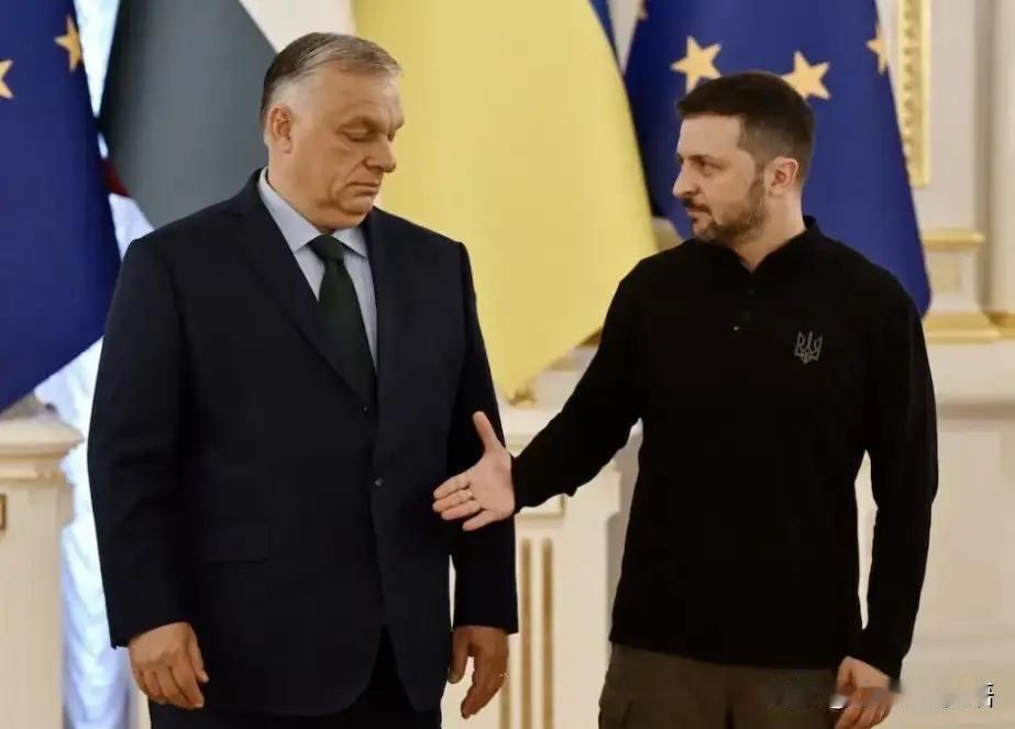 蒂萨党主席称赢得匈牙利国会选举匈牙利国会选举落幕，蒂萨党胜选，执政多年的欧尔班认