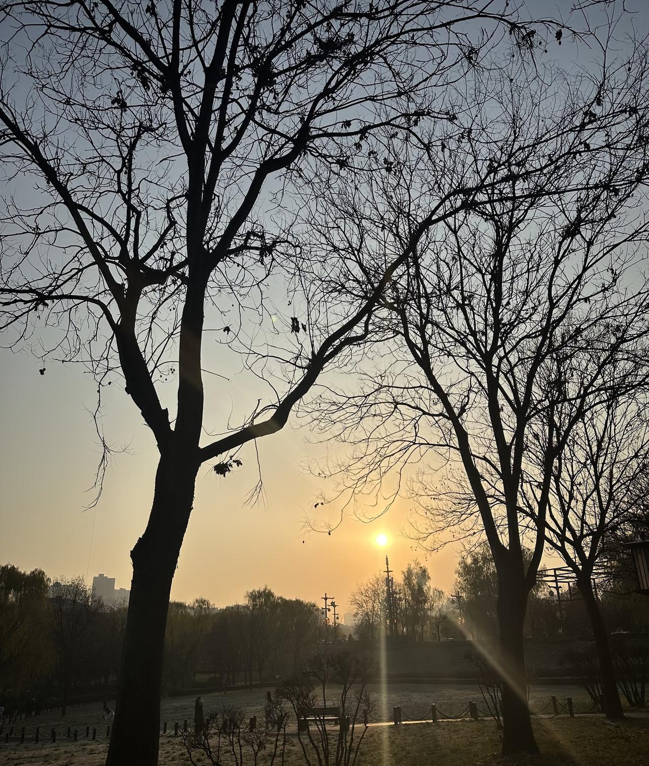 黄金消费暴跌32%，周大福关店905家，钻石却被年轻人买爆？真相太真实
 
最近