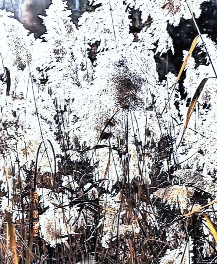 亲爱的，寒风吹冷了温湿的空气，飞雪阻碍了出行的脚步，愿我的问候能温暖你的心窝，带