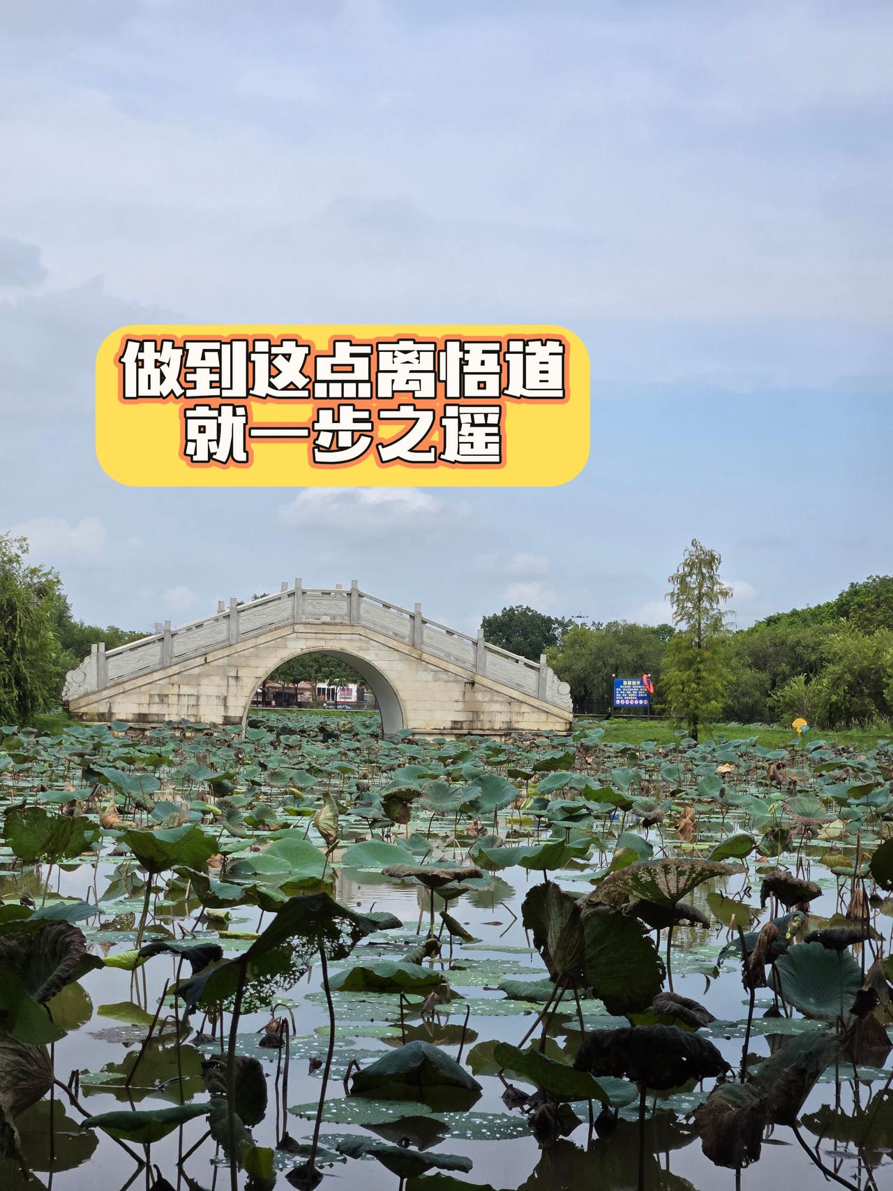 交易悟道 北京炒家