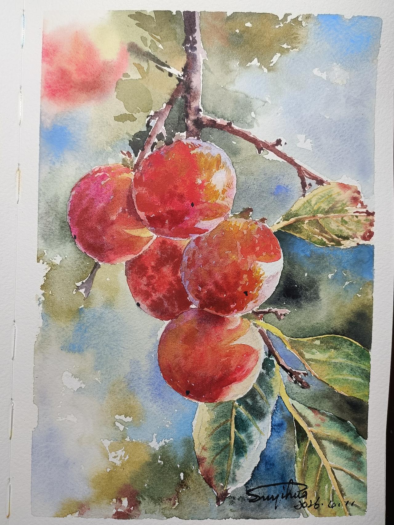 今天还是画漂流本，最近有些忙漂流本有些慢了，今天连画两本，你更喜欢哪个？怡华手绘