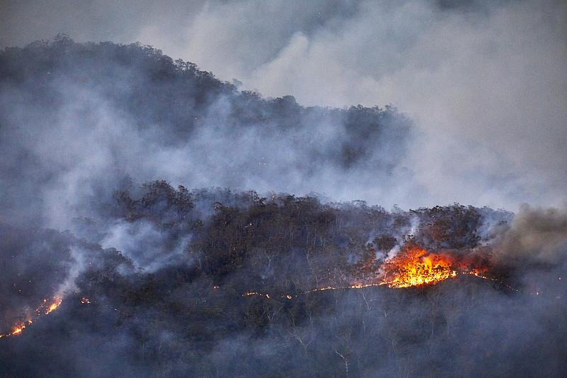 2月26日17时许，香港粉岭坪輋突发山火🔥！截至当晚9时，火势延续4小时未熄，