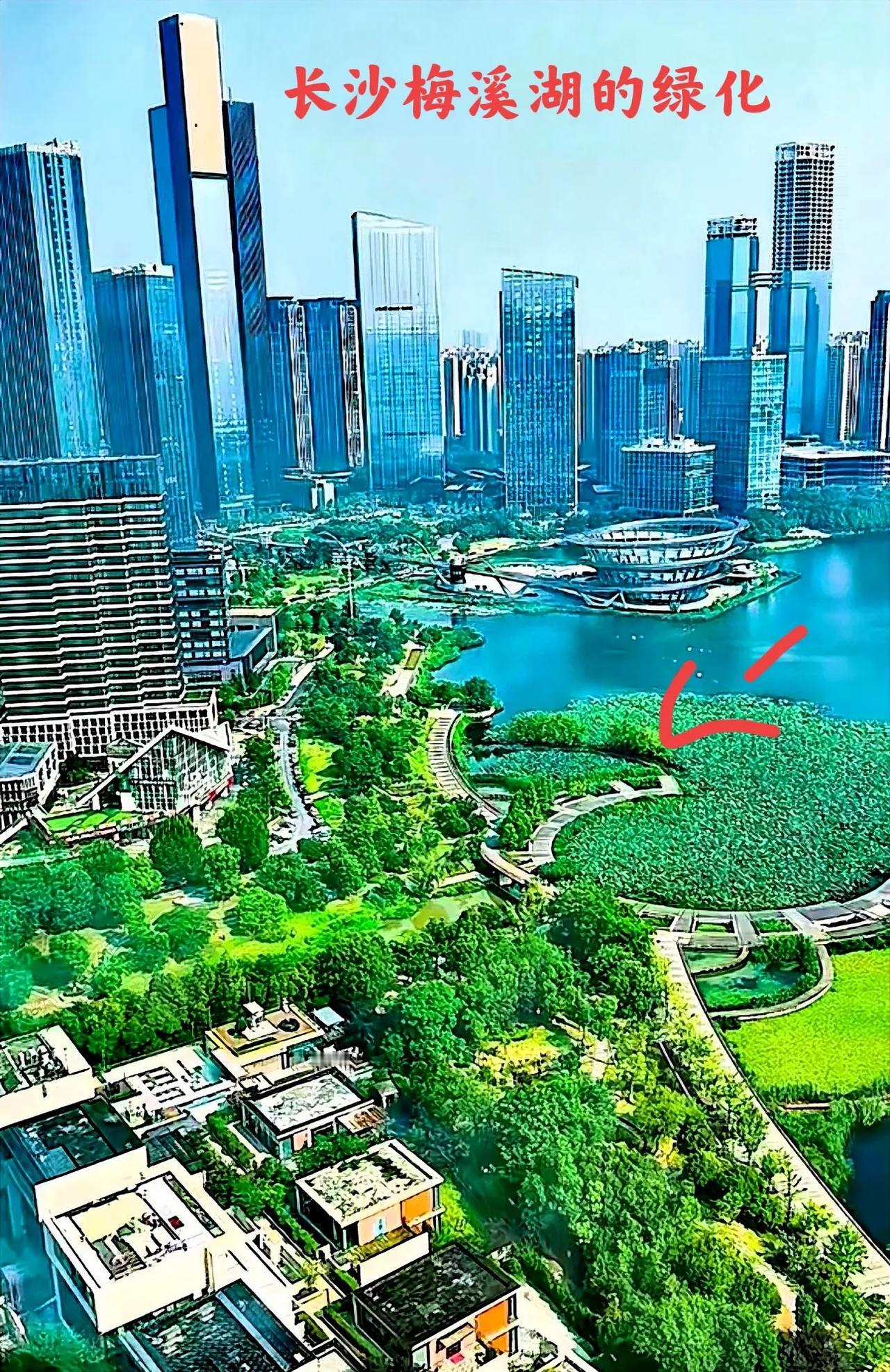 长沙梅溪湖的绿化有这么好了吗？这环境的生活确实不一般，没有钱的人家想都不要想在这