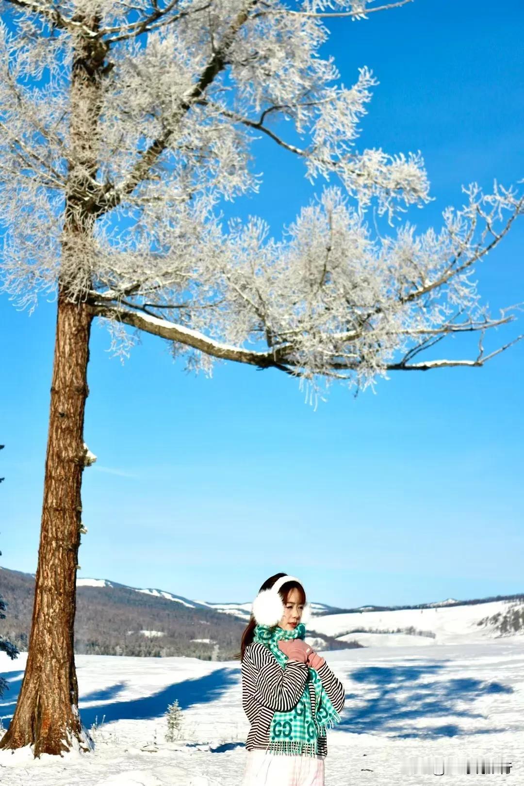 我的阿勒泰6日游旅拍
遇见美景，束手无策。·12月10日三哥说 三哥说旅行 新疆
