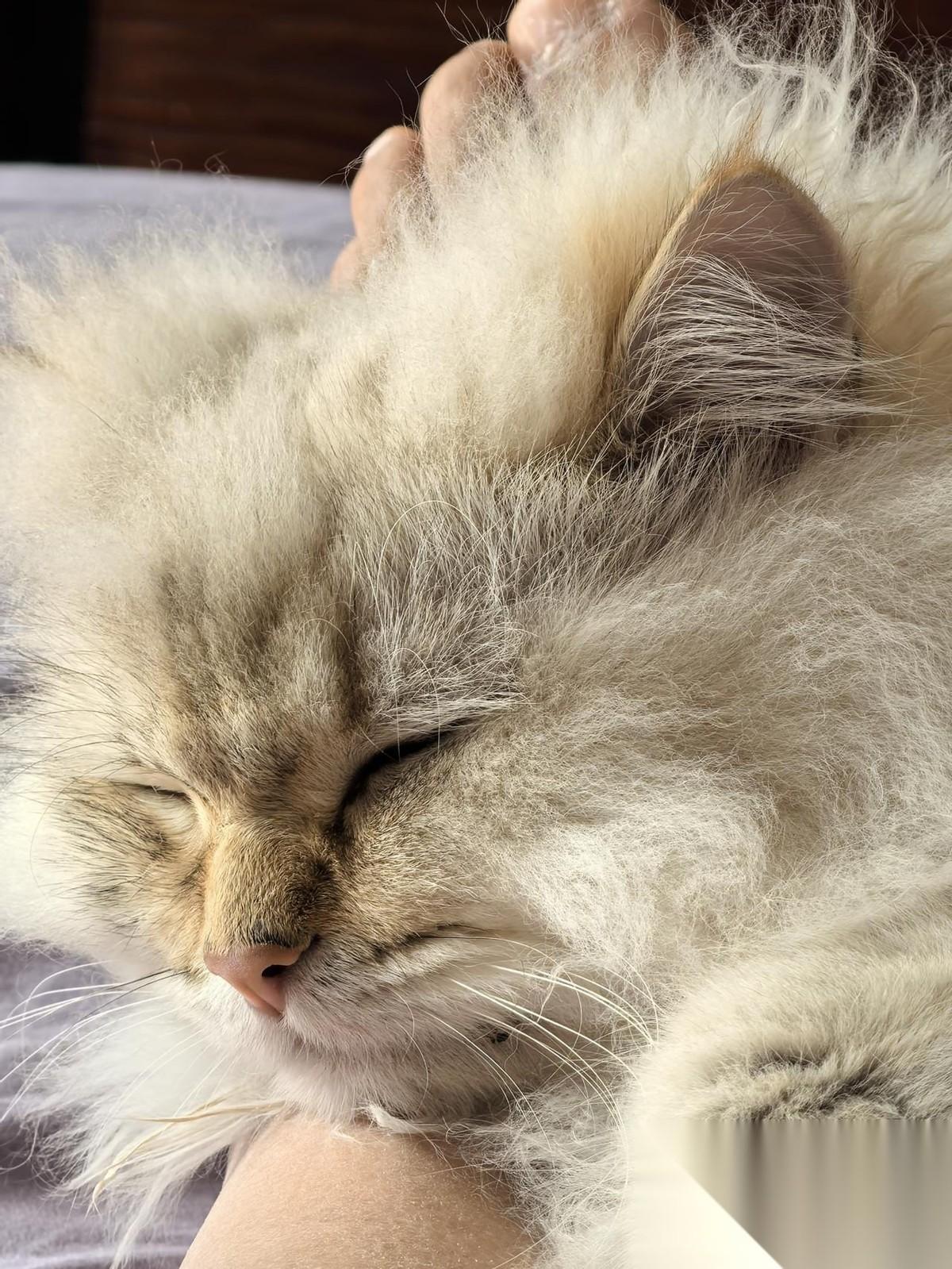 要把基础打扎实，把基础科学做好，我想一般中国人都没有意见，我们中国人都信那句话：