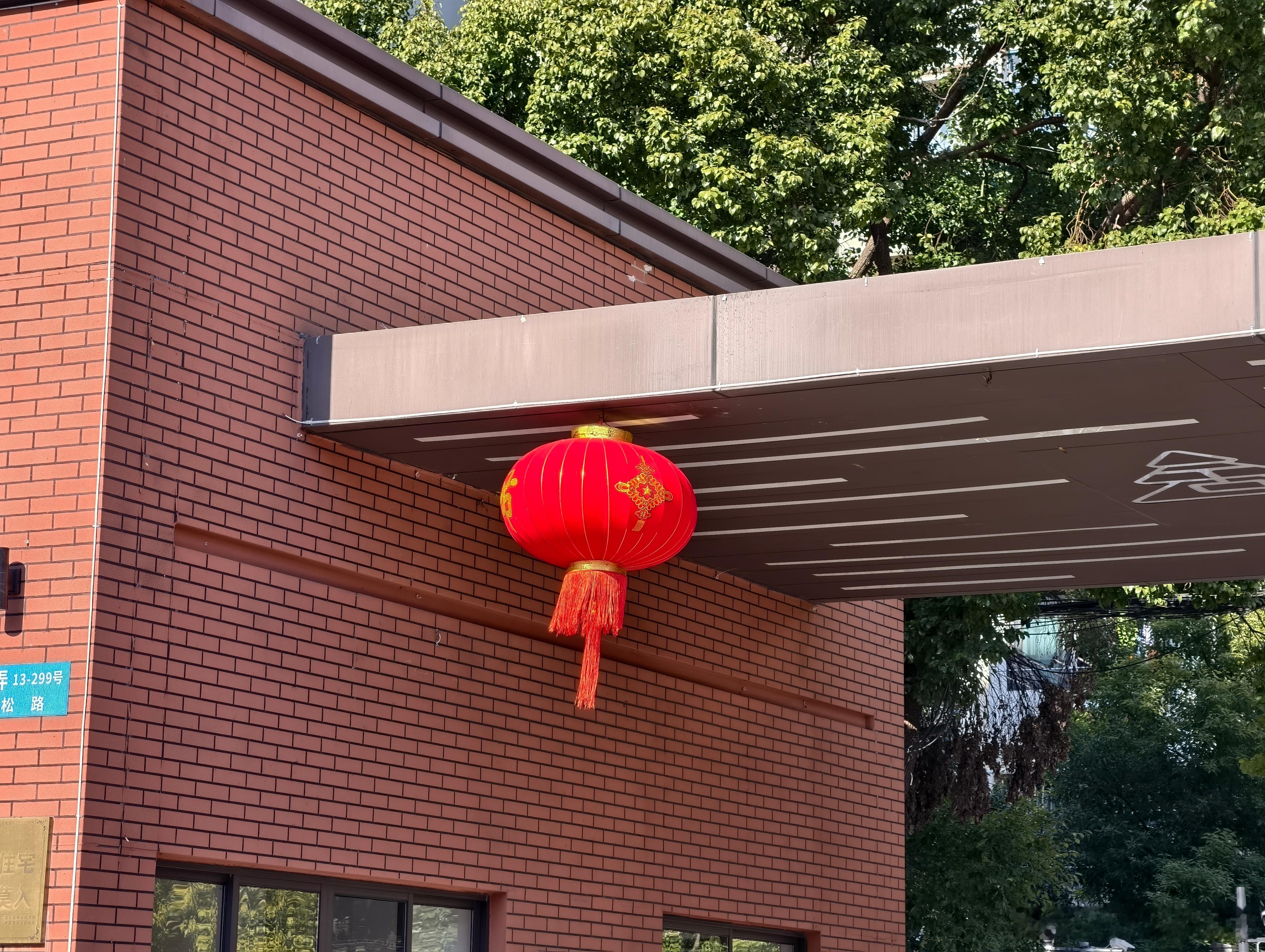 小区开始挂灯笼，已经开始有年味了。 