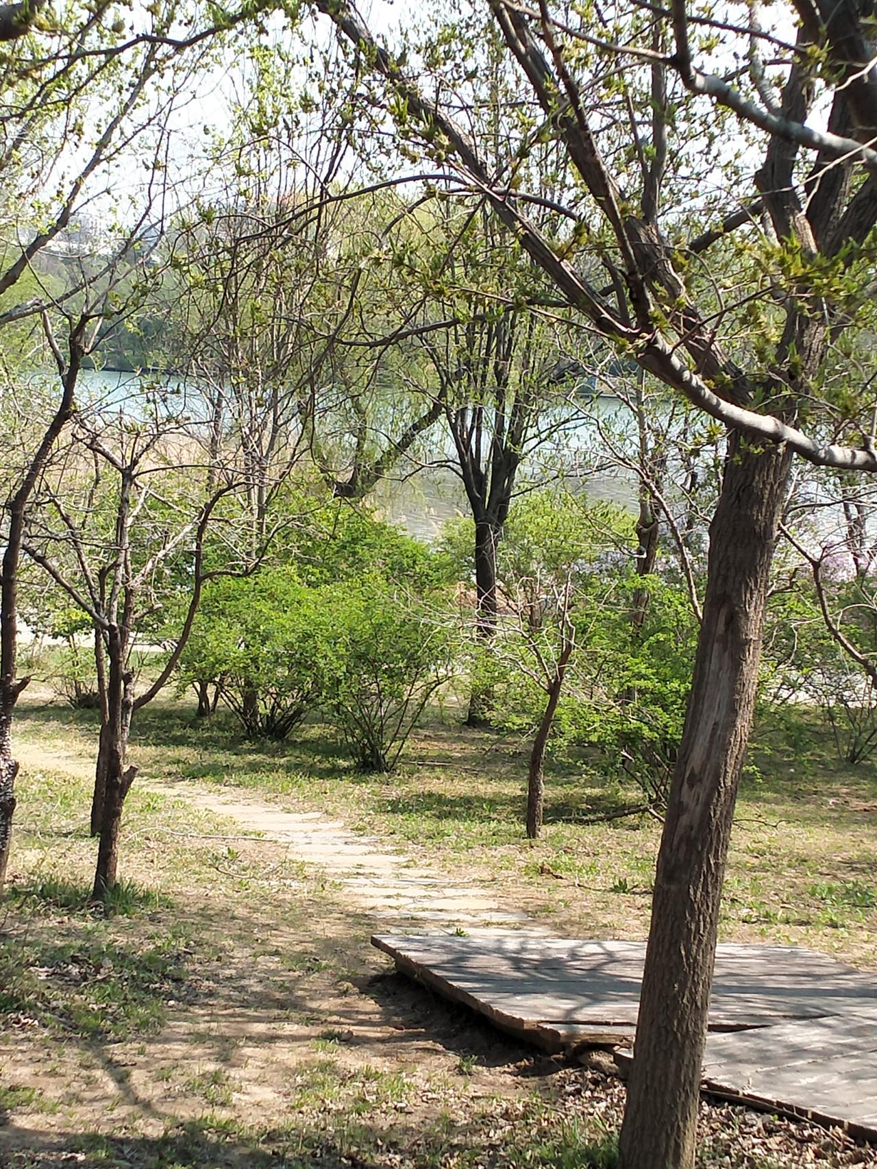 二师兄比孙悟空聪明。[大笑]