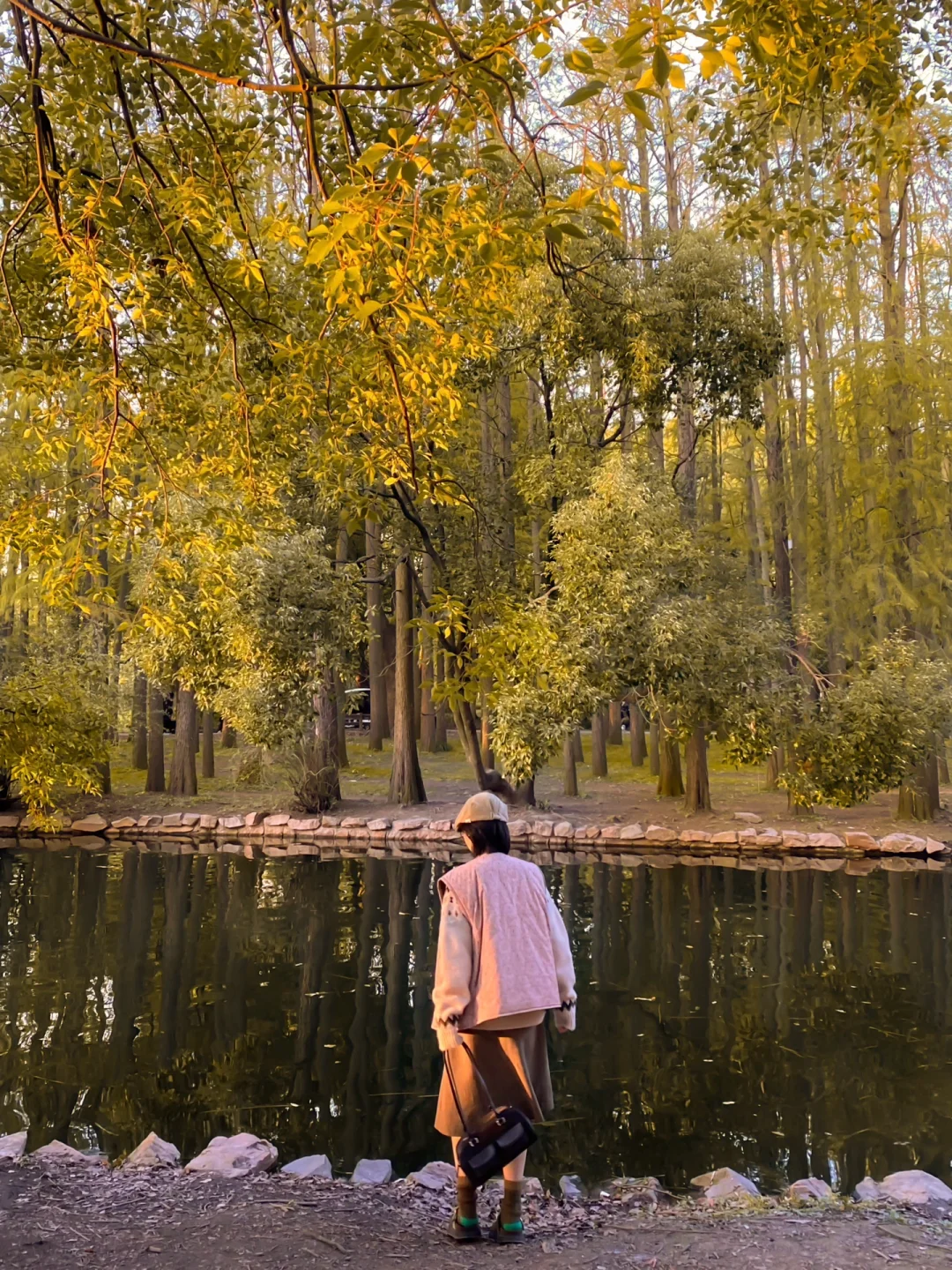 去公园浪费一天的时间 🌳